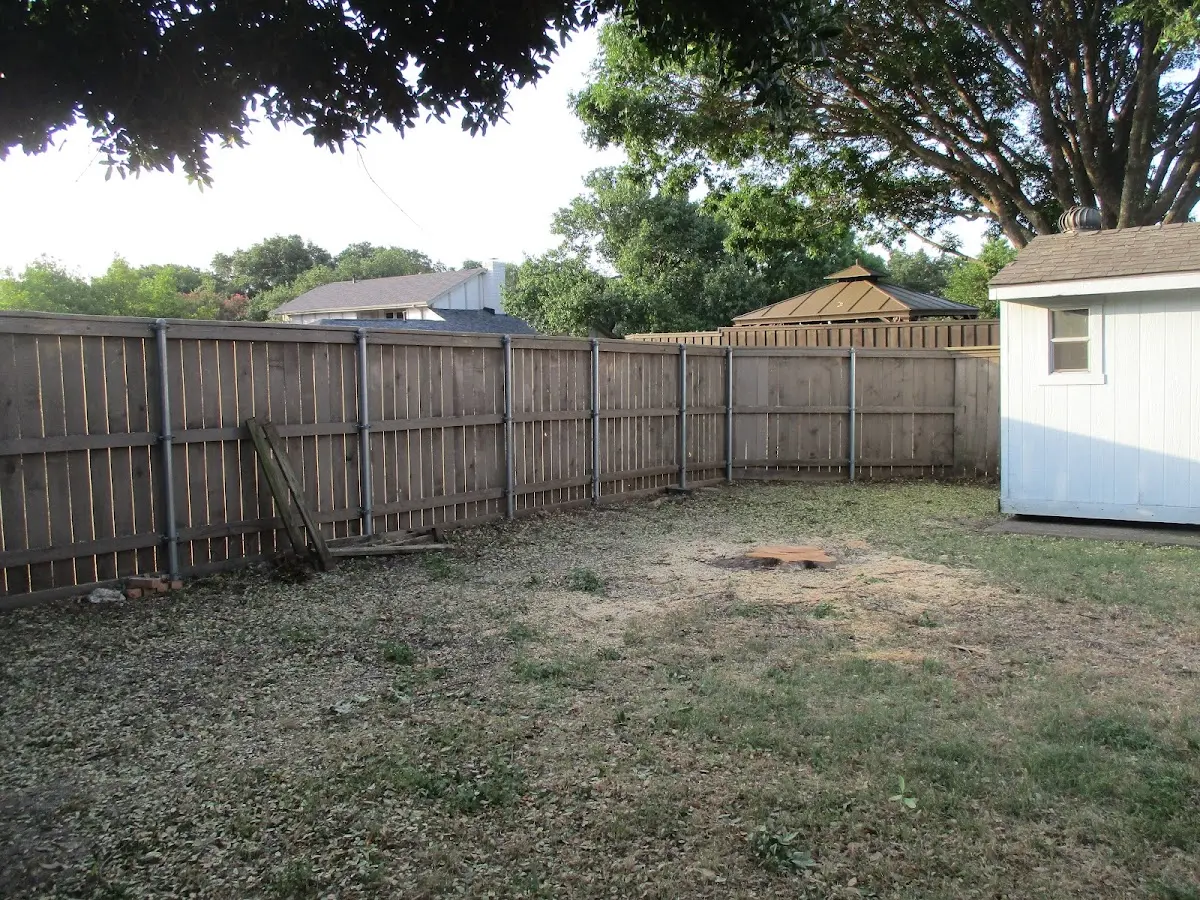 Cleared yard after professional tree removal in Sextonville